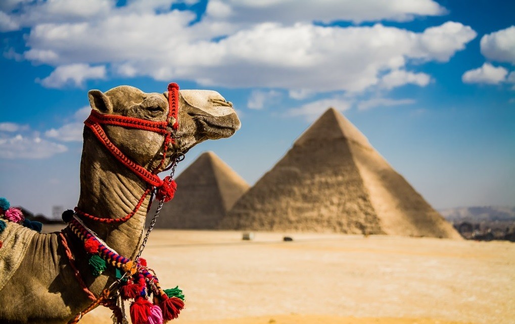 Explore the Ancient Egyptian in Cairo & Giza