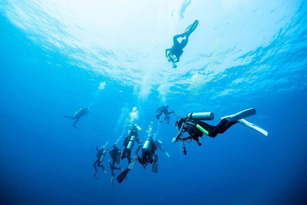 Buceo en aguas abiertas - solo esnórquel