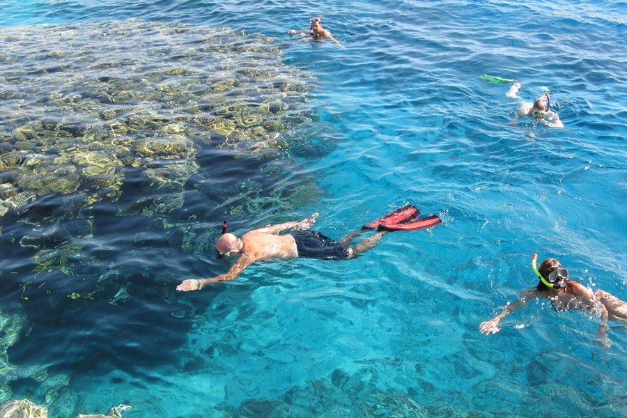 Excursión de esnórquel en la isla de Tiran